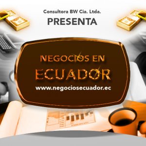 Asesoría a su negocio online